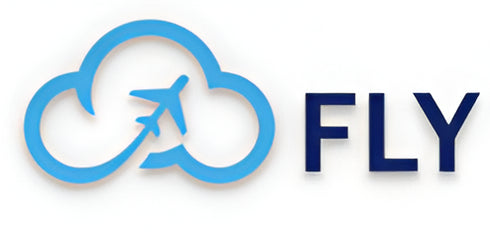 Power Platform Migration - Fly (SaaS)