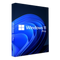 Windows 11 Pro